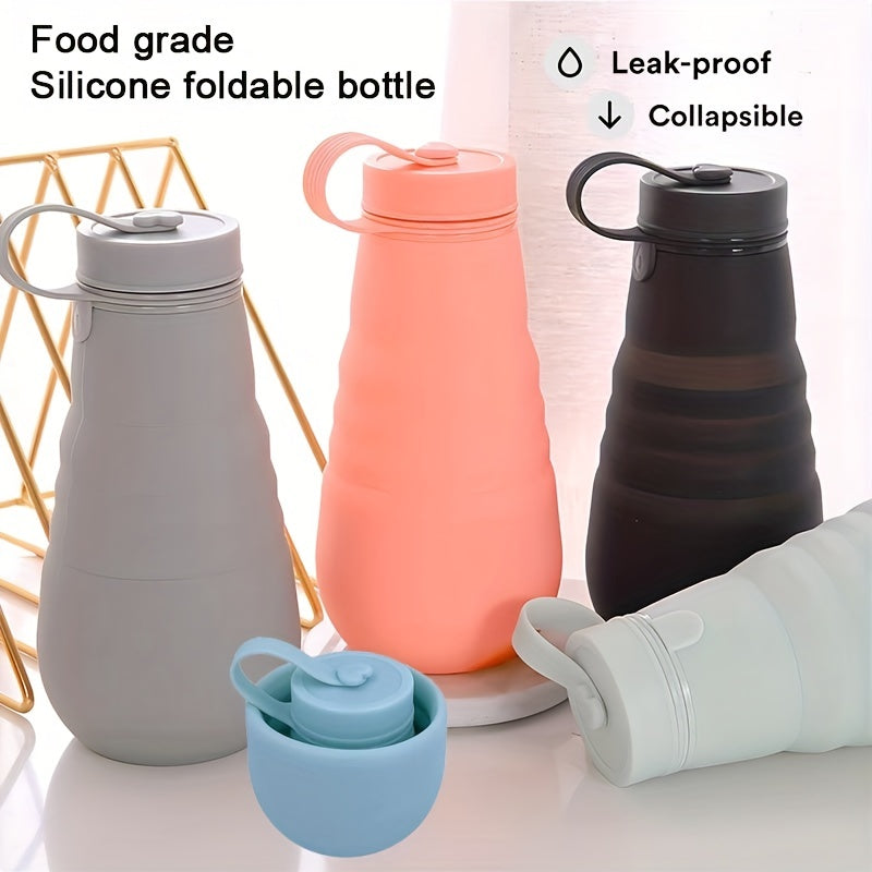 Leakproof Reusable Water Bottle 17.6oz Microwave & Dishwasher