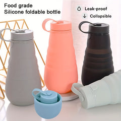 Leakproof Reusable Water Bottle 17.6oz Microwave & Dishwasher