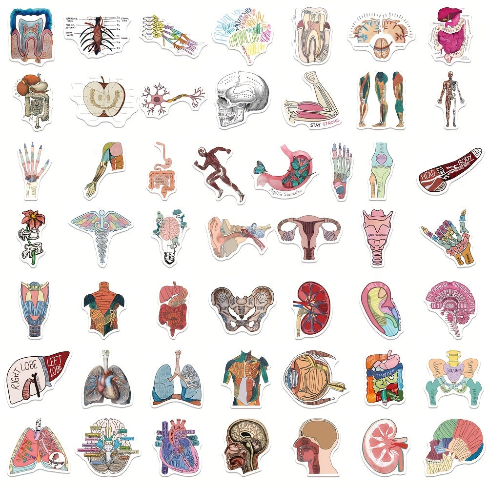 50pcs Anatomy Organ Doodle Stickers for Guitar Laptop Water Cup Luggage Helmet