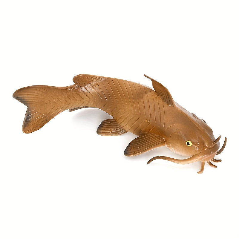 Animal Models Freshwater Fish Catfish Bearded