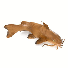 Animal Models Freshwater Fish Catfish Bearded