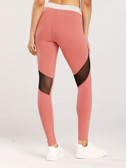 High Waist Butt Lifting Mesh Yoga Leggings