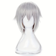 Anime Cosplay Silver Gray Men's Wig Full Head Cover