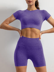 2pcs Yoga Sports Sets Quick Drying Short Sleeve Sports Cropped Tank Tops