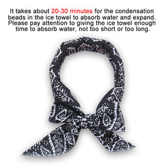 Reusable Cooling Neck Wraps Ice Bandanas For Summer Outdoor Activities