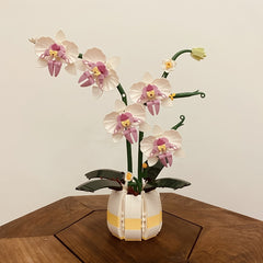 Pink Orchid Vase with Butterfly Valentine's Gift for Her
