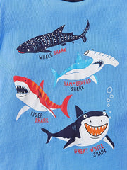 Boys Shark Casual Outfit Round Neck T shirt & Shorts Kids Summer Clothes Sets