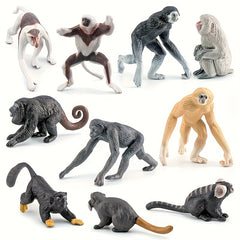 Primate & Oceania Wildlife Model Set Educational Toy