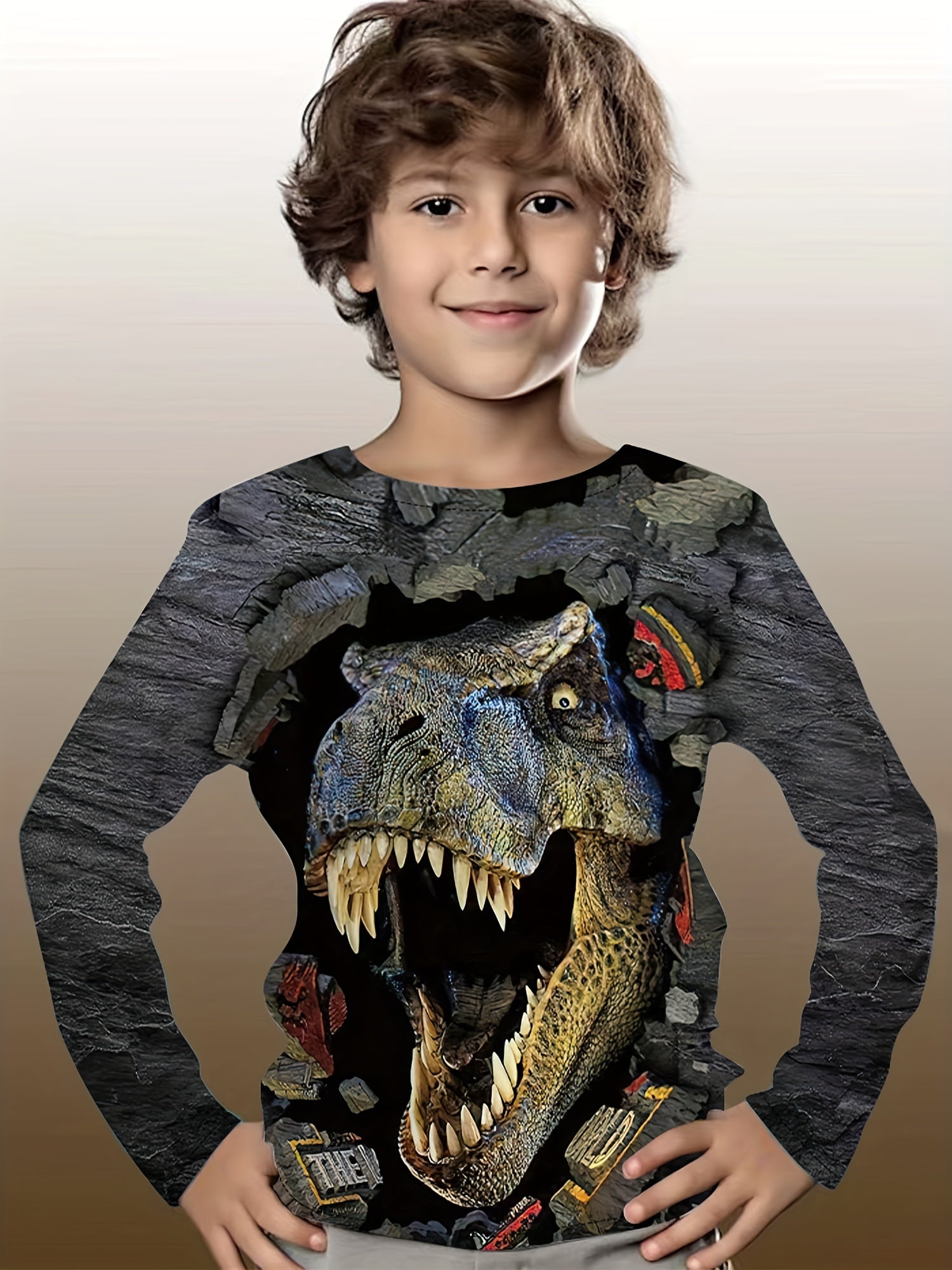 3D Dinosaur Kid's Pullover Long Sleeve Top For Spring Fall Winter