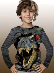 3D Dinosaur Kid's Pullover Long Sleeve Top For Spring Fall Winter