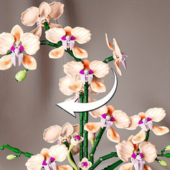 Elegant Champagne Orchid Building Block Bouquet