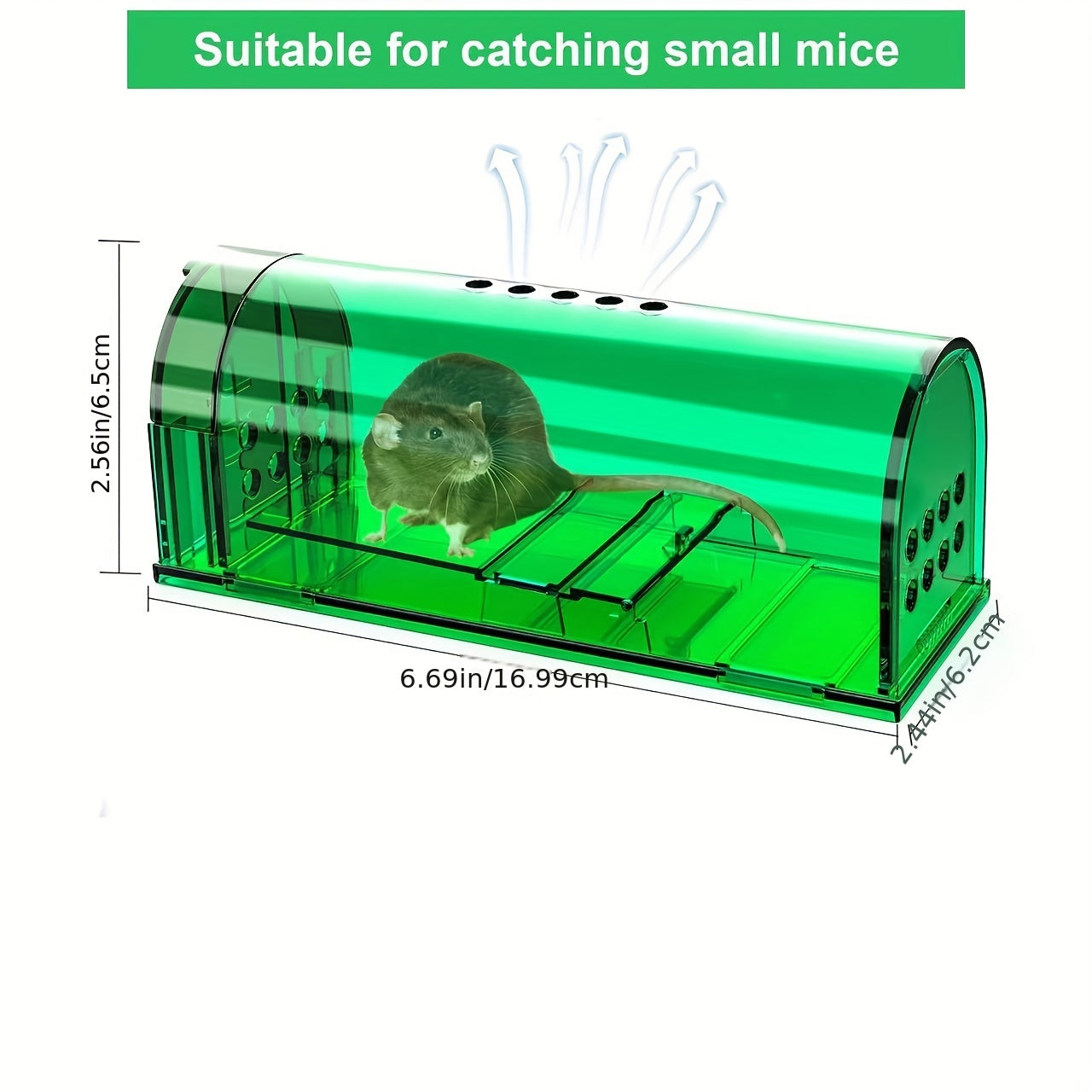 Humane Mouse Trap 2-4pcs ABS Live Catch and Release Safe for Children and Pets