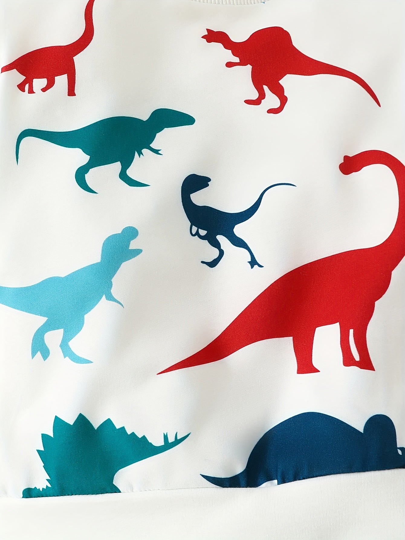 Boy's Dinosaur Outfit 2pcs Set for Spring Fall