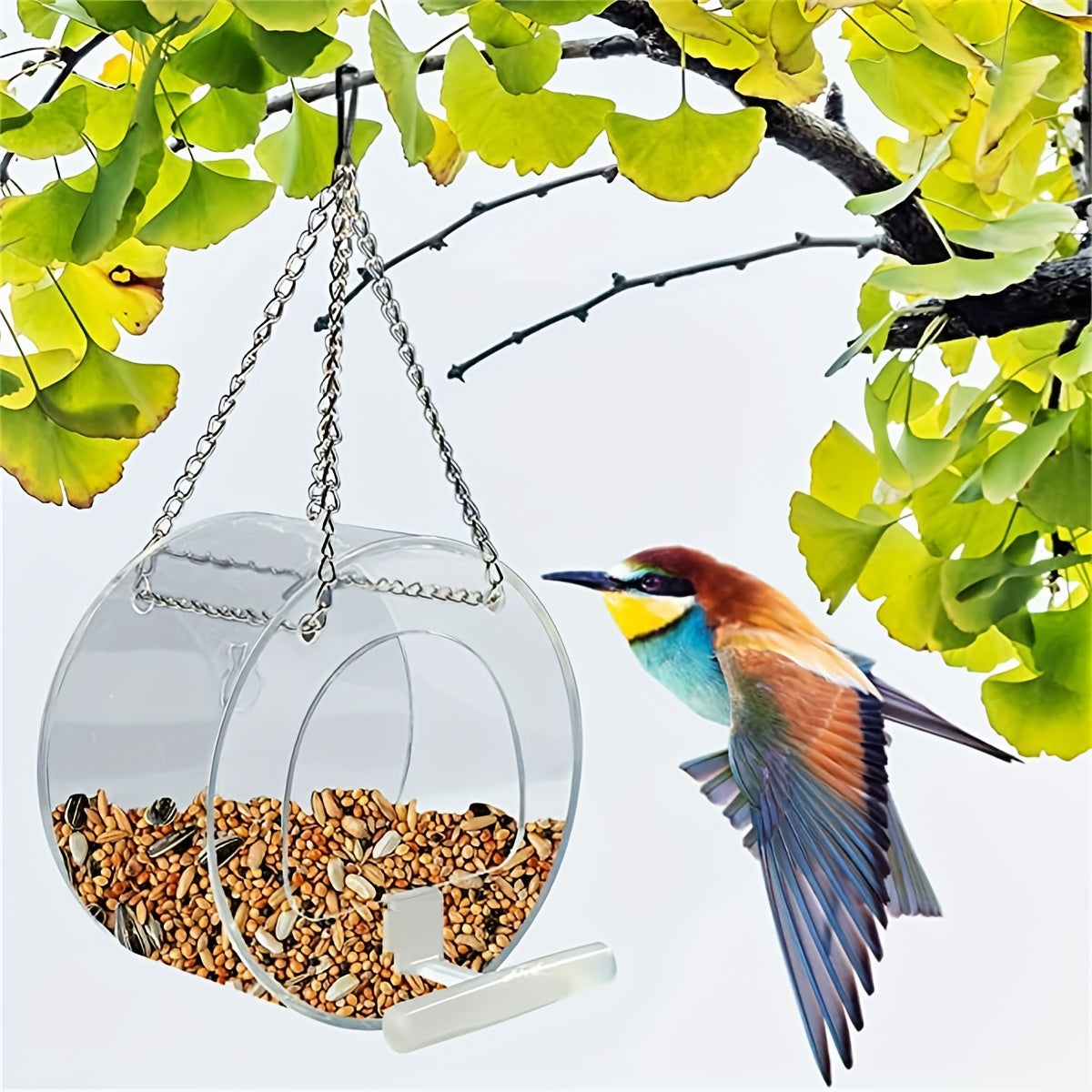 Hanging Bird Feeder with Suction Cup Decoration
