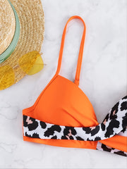 Leopard Print Colorblock V Neck Bikini Set