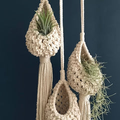 3pcs Macrame Hanging Planters Bohemian Decor with Air Plants & Tillandsia