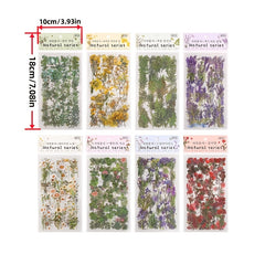 6pcs Nature Book Series Scrapbook Sticker Pack Plant Flower Retro Paper