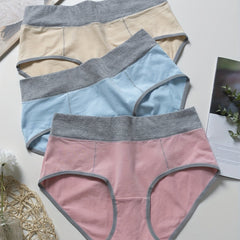 3 Pack Plus Size Colorblock High Rise Panties Set