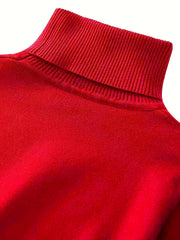 Women's Solid Turtle Neck Sweater Long Sleeve Casual Sweater