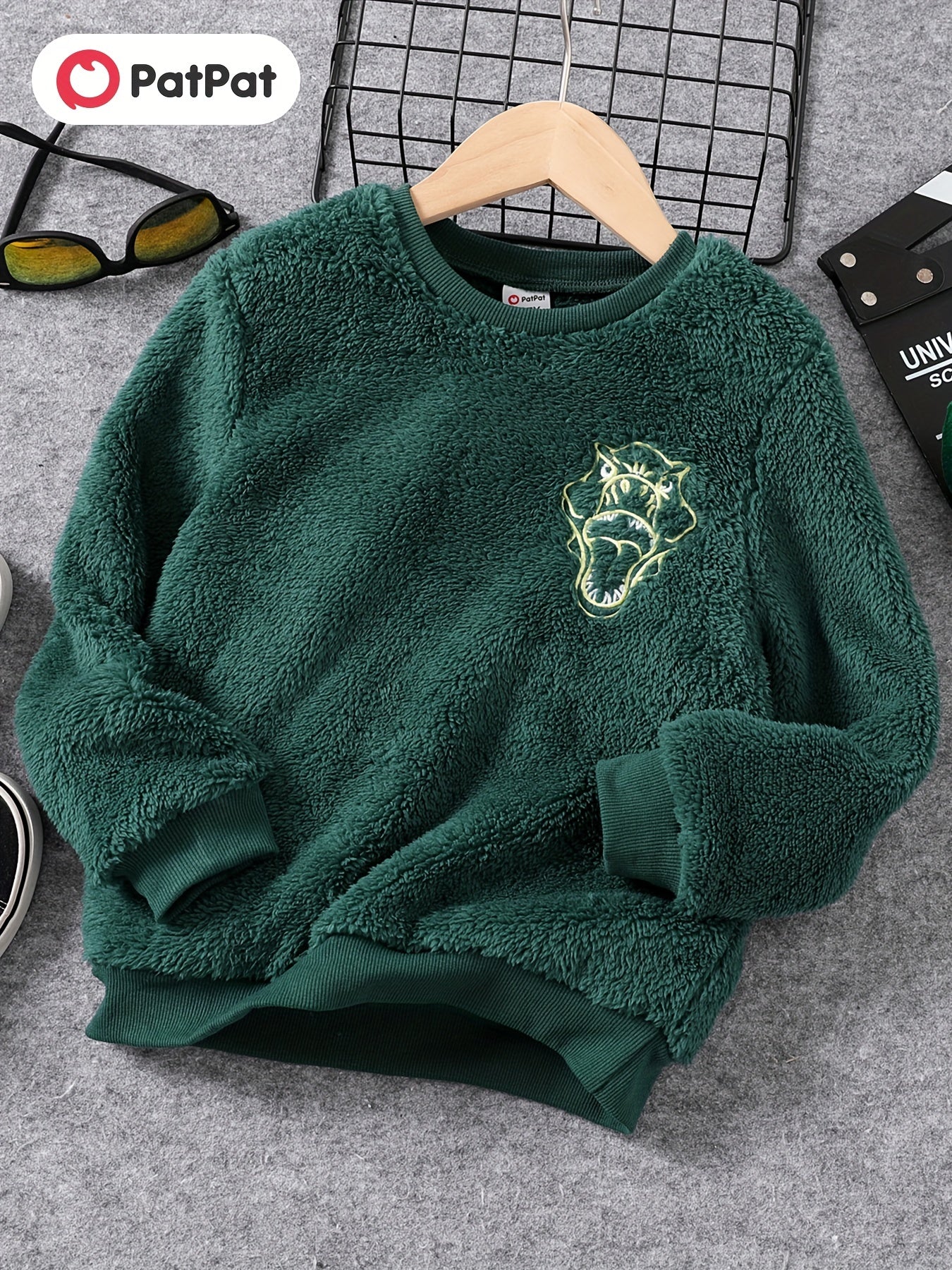 Embroidered Dino Print Boys Warm Sweatshirt