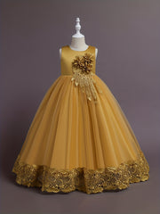 Girls Lace Embroidery Flower Princess Dress with Tutu Skirt