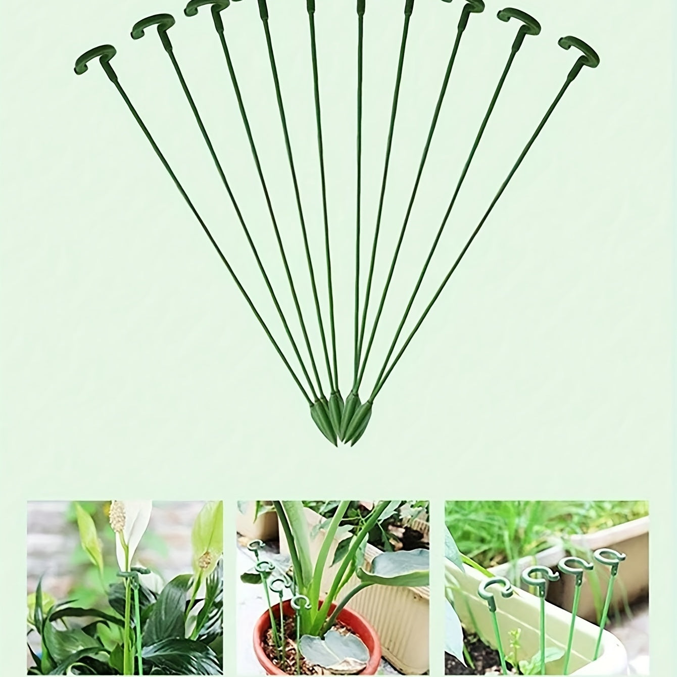 4pcs Phalaenopsis Flower Stands Leaf Protection Branch Protection