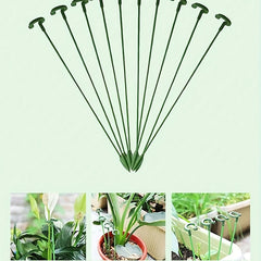 4pcs Phalaenopsis Flower Stands Leaf Protection Branch Protection