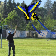 Colorful Butterfly Kite for Outdoor Games and Activities
