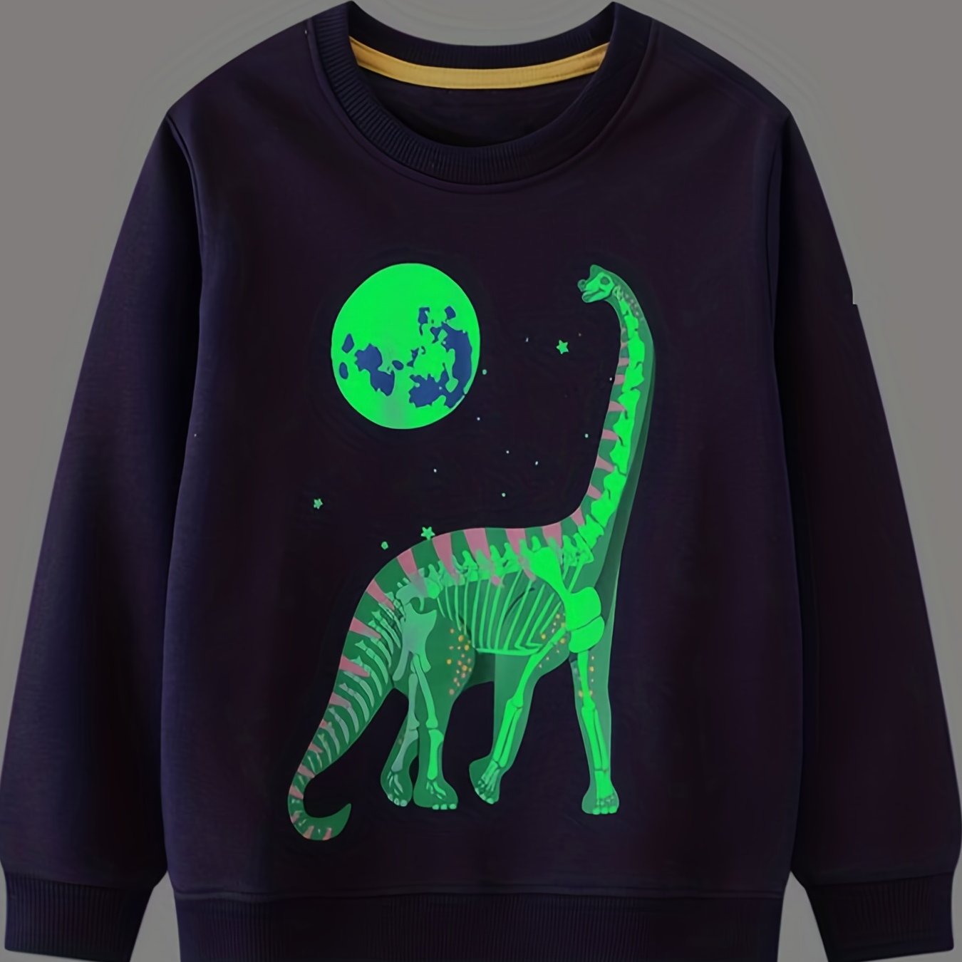 Kid's Dino Pattern Sweatshirt Crew Neck Long Sleeve Top
