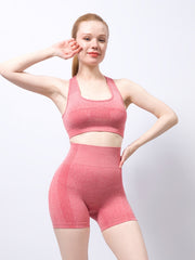 Bodycon Bra & Shorts Set Yoga Running Sports Fitness