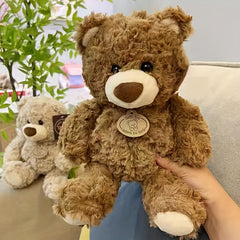 Memorable Keepsake Teddy Bear Plush Toy Soft Polyester Deep Brown Ivory