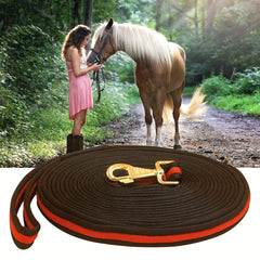 Horse Lunge Line Training & Exercise