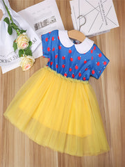 Toddler Girls Halloween Princess Tutu Dress Costume