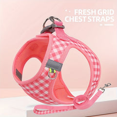 img_7366097