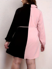 Colorblock Button Up Lantern Sleeve Casual Blouse
