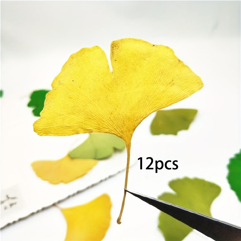 12 Assorted Dried Flower Bookmarks for DIY Art Projects