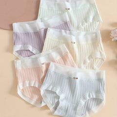 Colorblock Mesh Briefs Ribbed Bow High Waist Panties