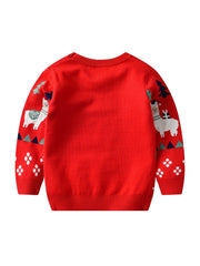 Boys Christmas Alpaca Knit Sweater