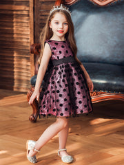 Baby Girls Polka Dot Mesh Gown Dress For Party