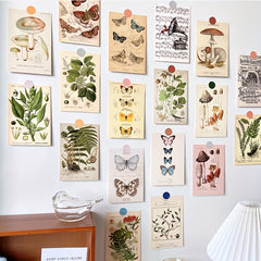 Vintage Collection Postcard Set Retro Style Nature & Ephemera Postcards
