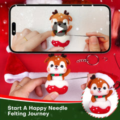 Wool Needle Felting Kit for Beginners with English Instructions
