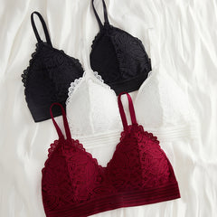 3pcs Contrast Lace Wireless Bras Women's Lingerie