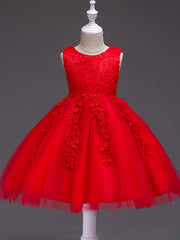 Girls Sleeveless Princess Tutu Dress Flowers Embroidery Tulle Performance Dress