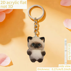 img_5581082