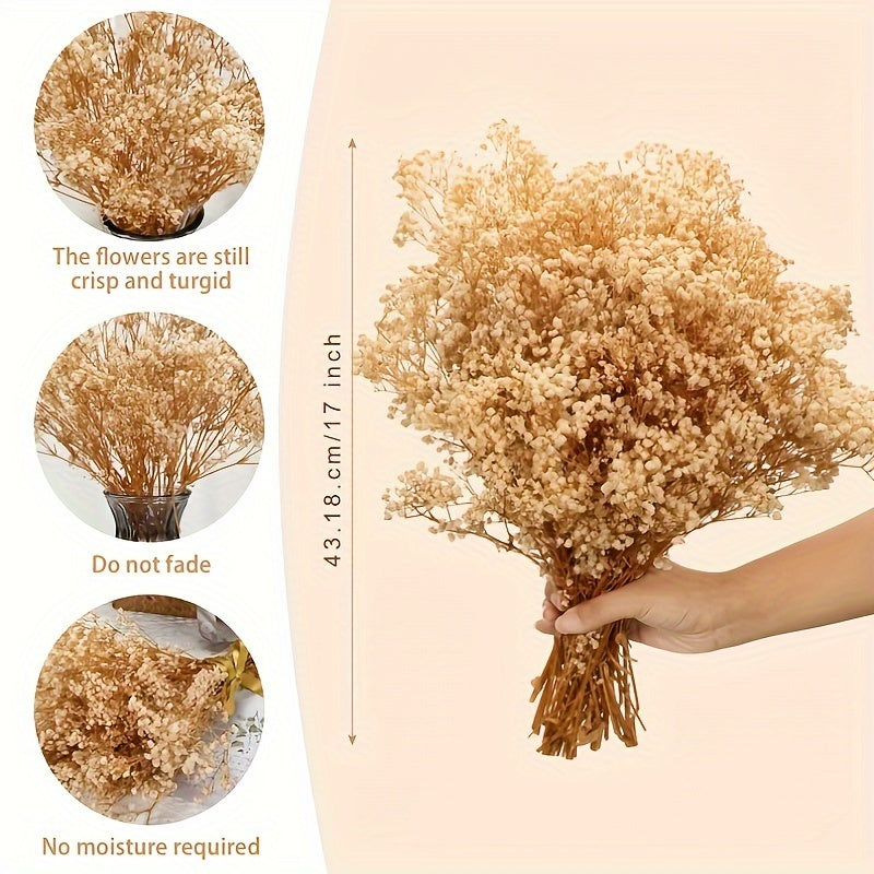 Natural Gypsophila Branches for Party Table Vase Wedding Home DIY Wreath Floral