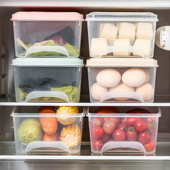 Fridge Organizer Box With Lid Reusable Food Storage Containers