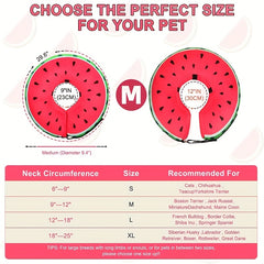 Soft Inflatable Recovery Collar for Dogs and Cats Watermelon