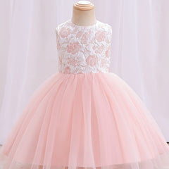 Girls Mesh Flower Embroidered Princess Dress
