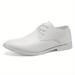 Men's Pointed Toe Lace Up Derby Shoes Business Formal Wear
