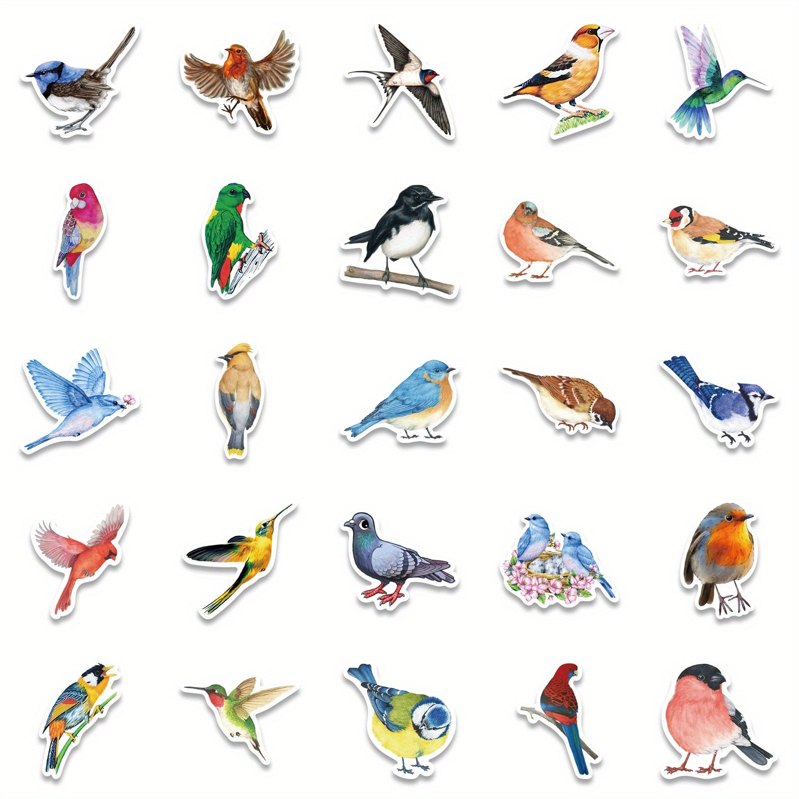 50 Watercolor Bird Stickers Parrot Finch Designs for Laptops Phones Cars